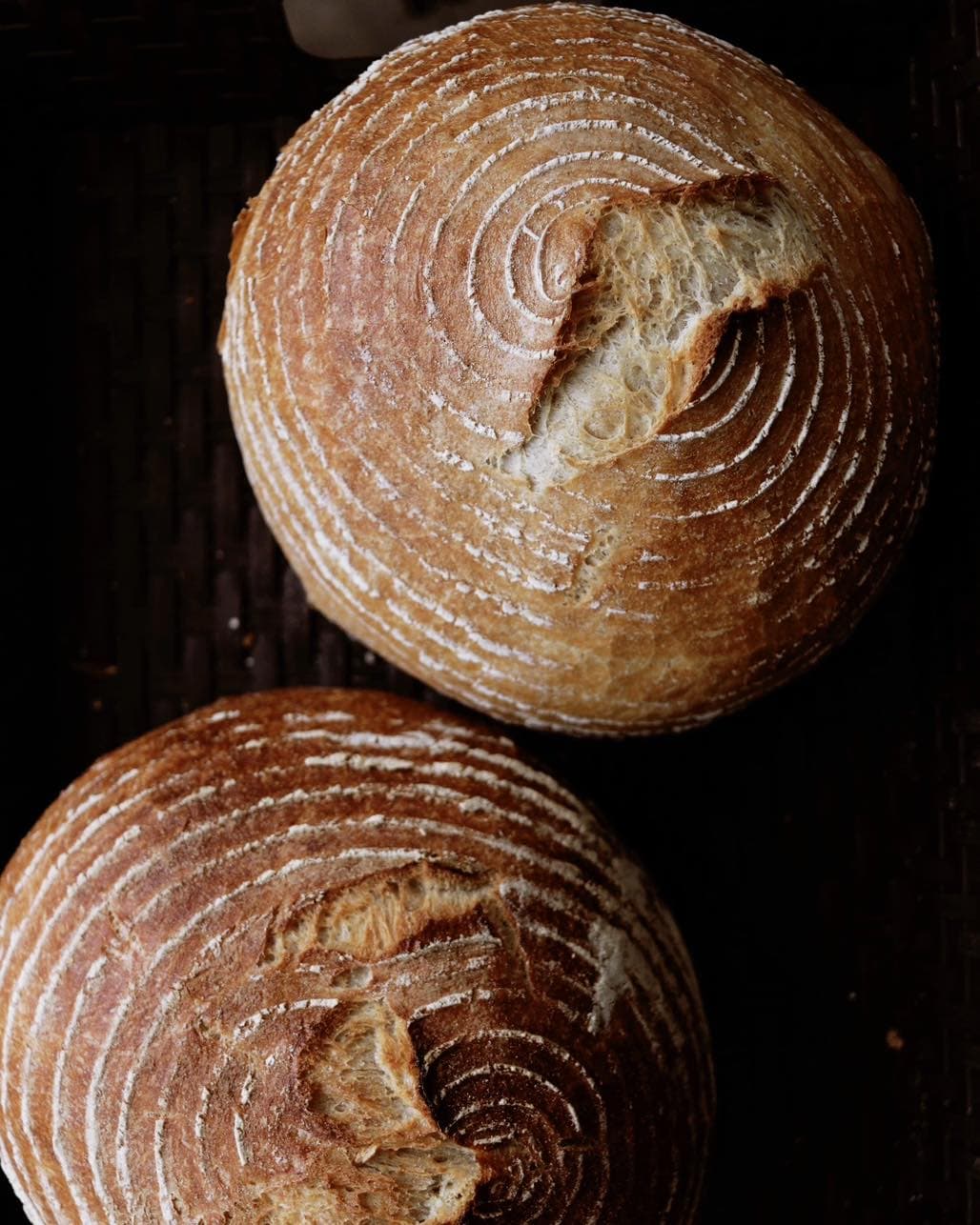 Boulangerie Co_Pain Bakery 2