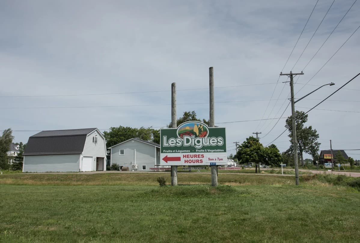 Ferme Les Digues Farm 2