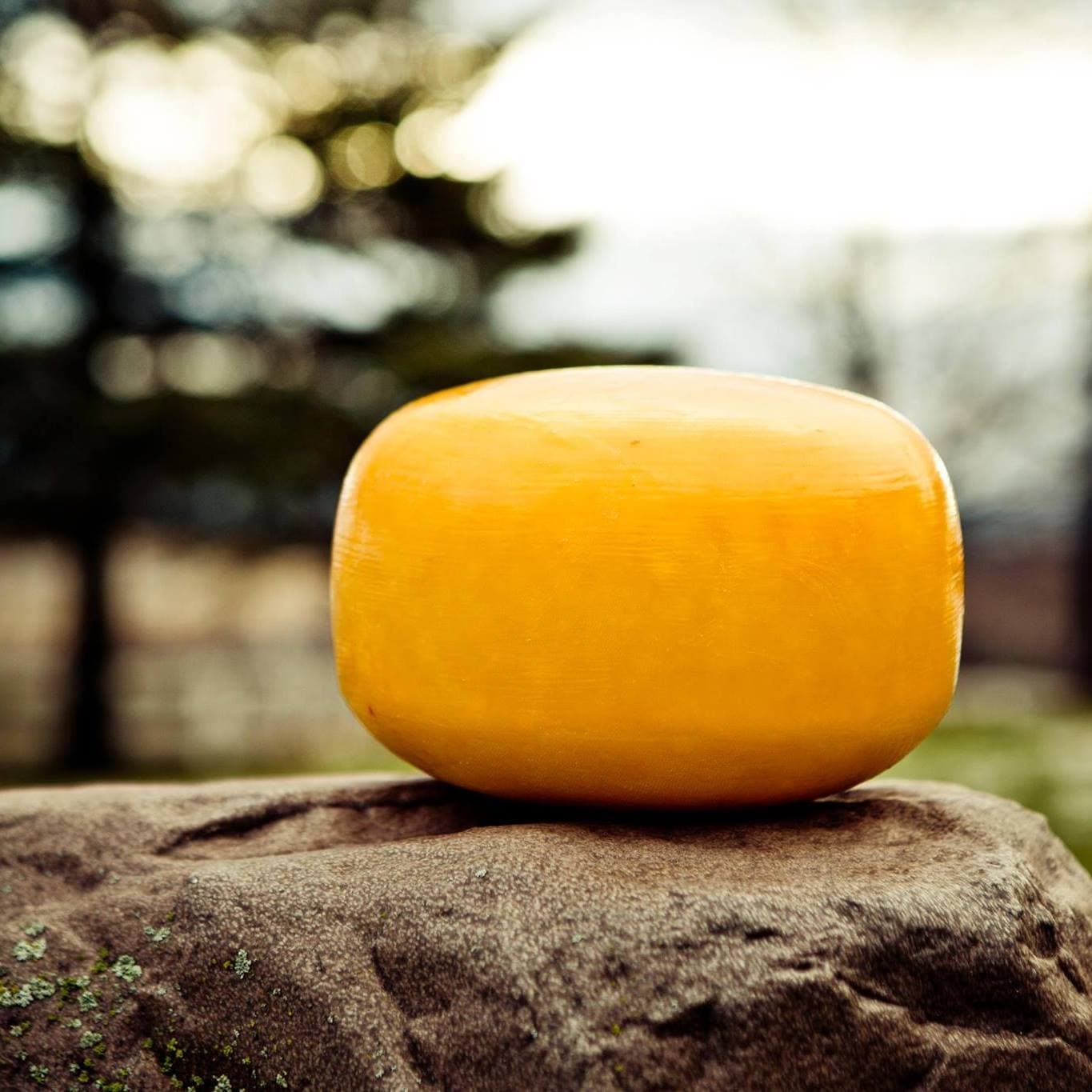 Armadale Farm Dairy Products
