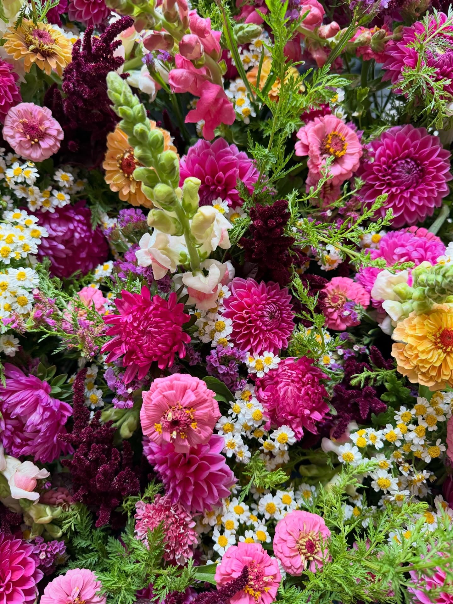 O'Sea Lavender and Cut Flower Farm 3
